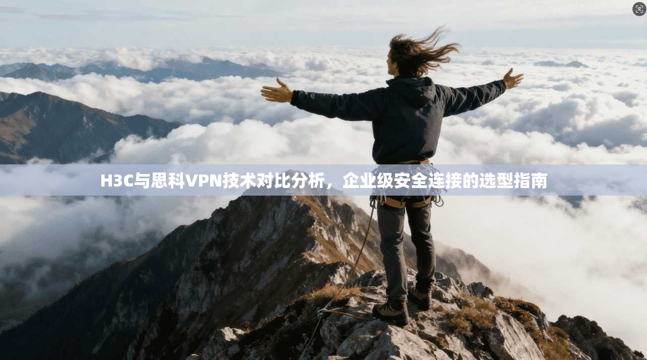H3C与思科VPN技术对比分析，企业级安全连接的选型指南
