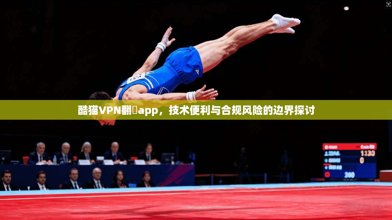 酷猫VPN翻牆app，技术便利与合规风险的边界探讨