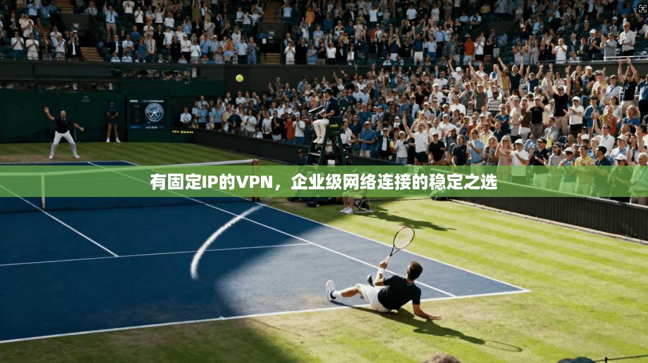 有固定IP的VPN，企业级网络连接的稳定之选