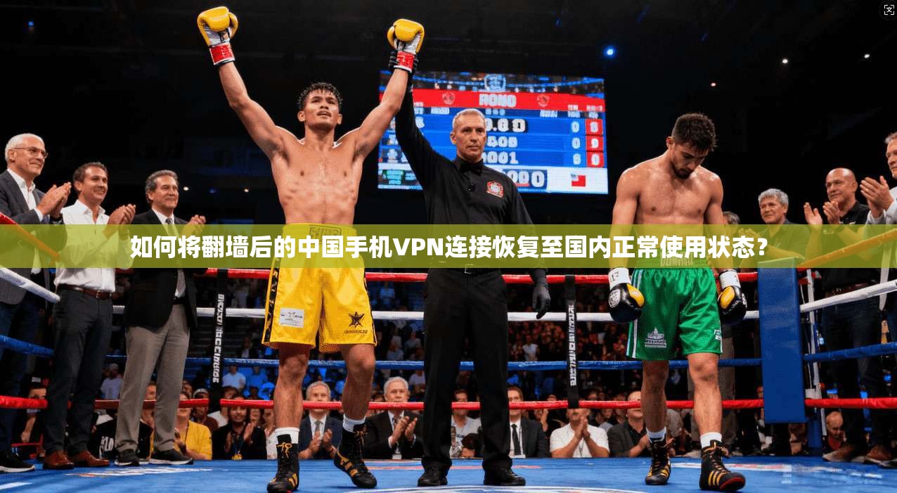 如何将翻墙后的中国手机VPN连接恢复至国内正常使用状态？