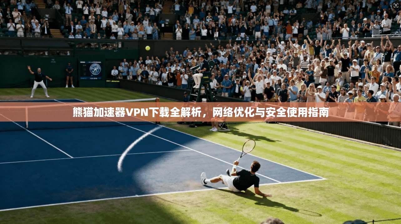 熊猫加速器VPN下载全解析,网络优化与安全使用指南
