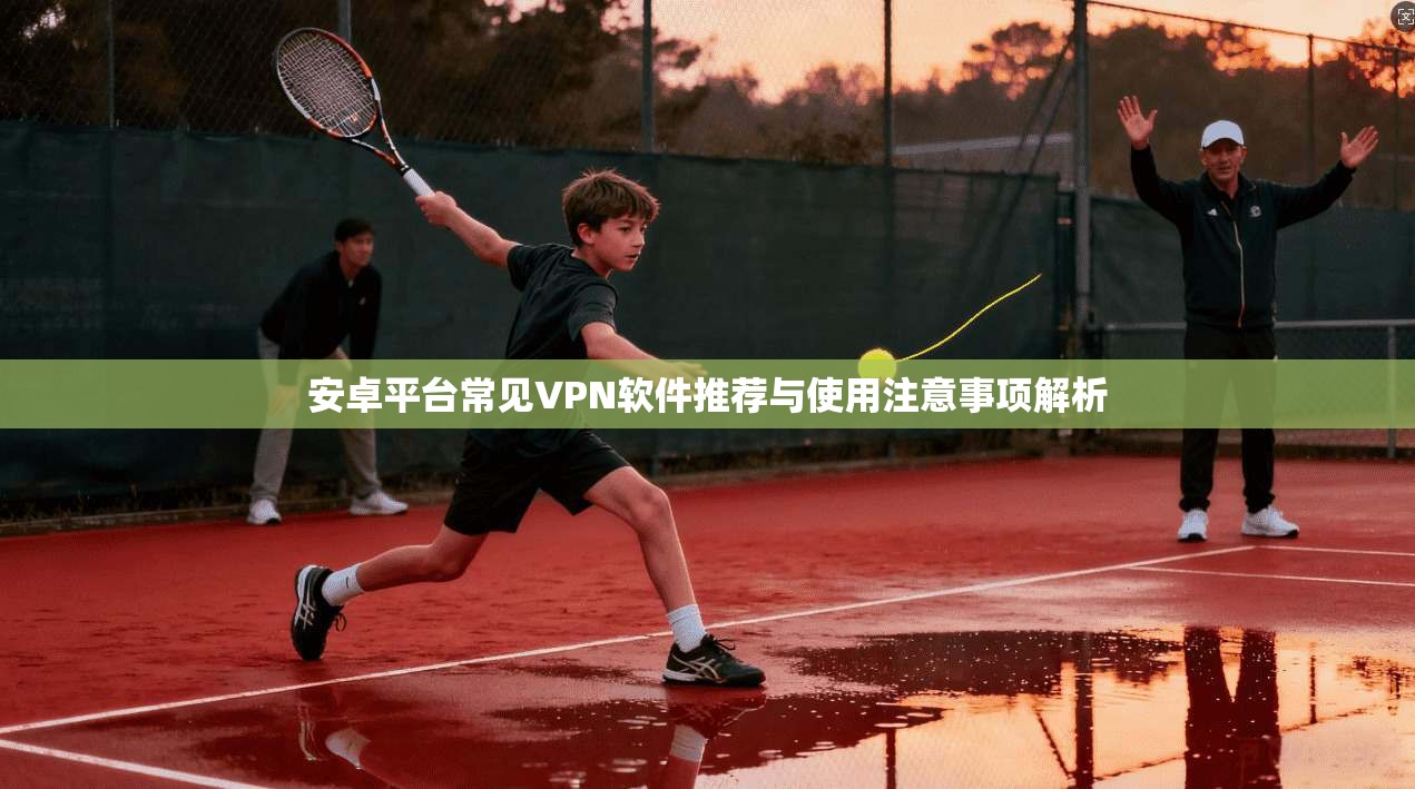安卓平台常见VPN软件推荐与使用注意事项解析