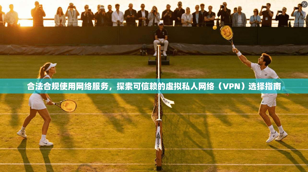 合法合规使用网络服务，探索可信赖的虚拟私人网络（VPN）选择指南