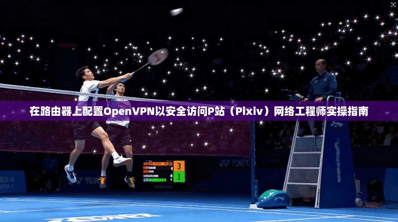 在路由器上配置OpenVPN以安全访问P站(Pixiv)网络工程师实操指南