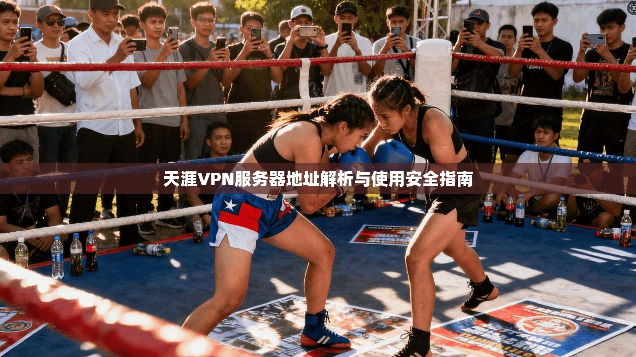 天涯VPN服务器地址解析与使用安全指南