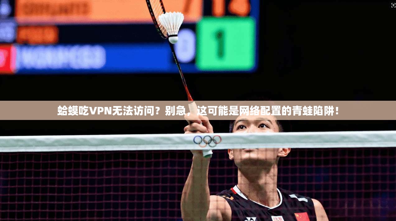 蛤蟆吃VPN无法访问?别急,这可能是网络配置的青蛙陷阱!