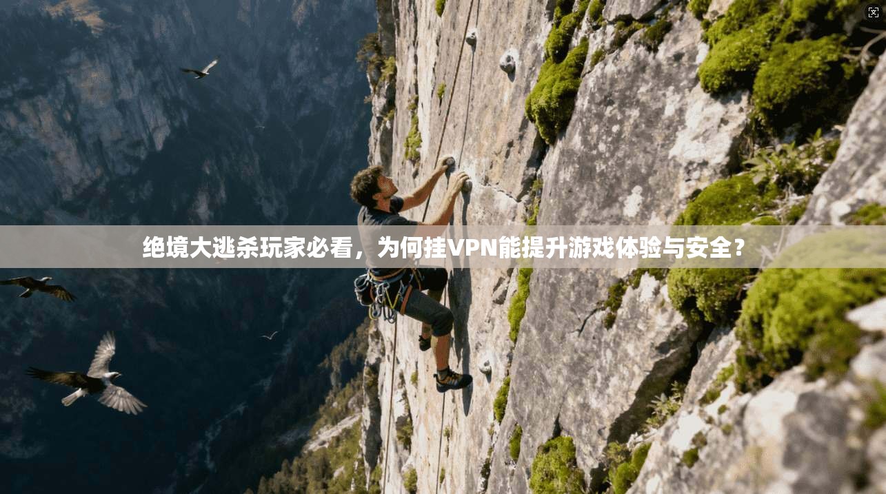 绝境大逃杀玩家必看，为何挂VPN能提升游戏体验与安全？