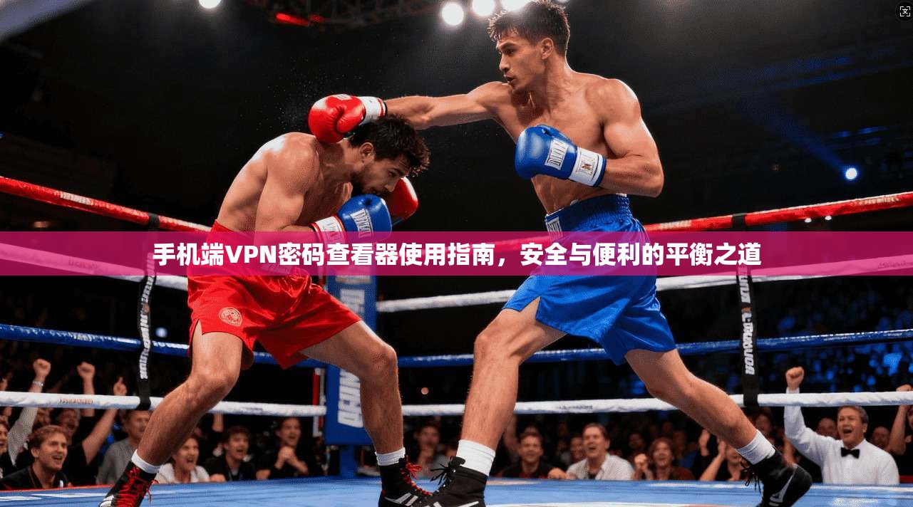 手机端VPN密码查看器使用指南,安全与便利的平衡之道