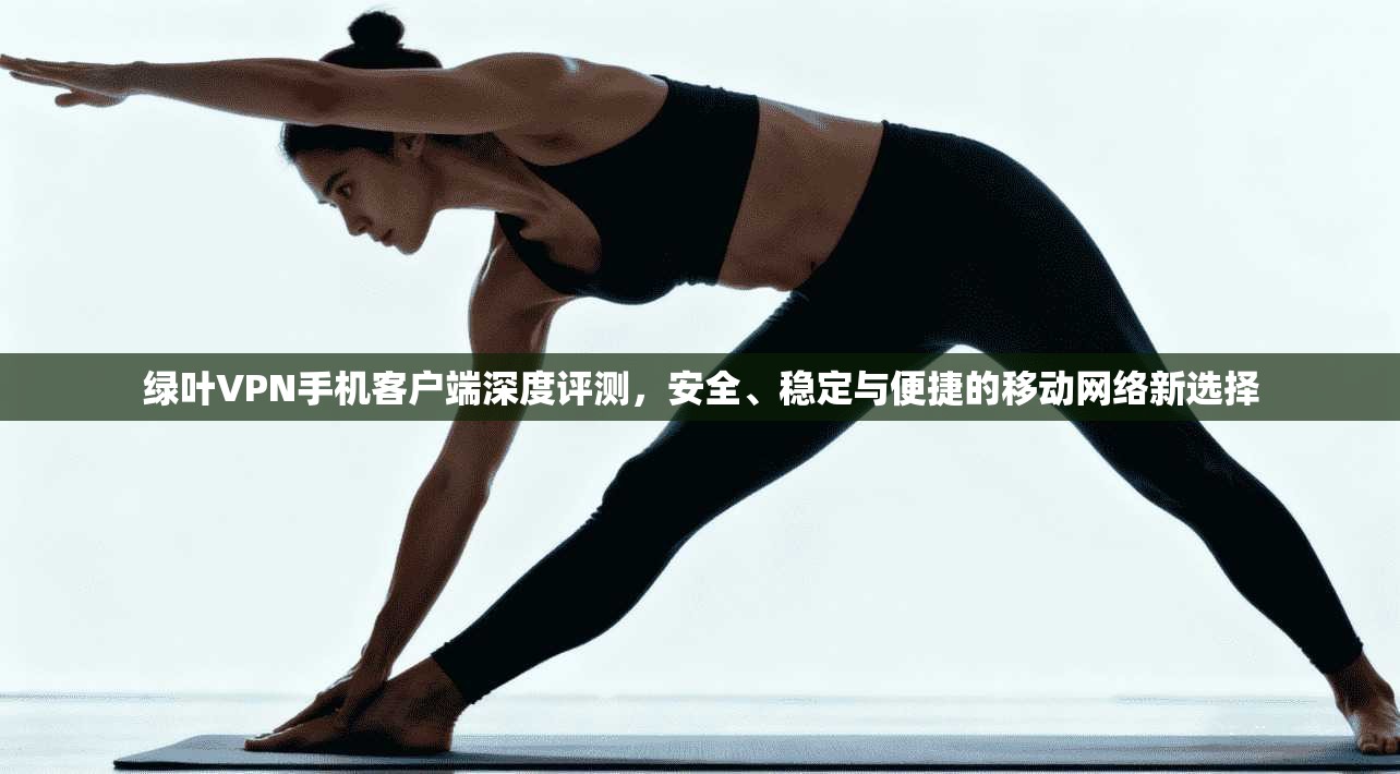 绿叶VPN手机客户端深度评测，安全、稳定与便捷的移动网络新选择