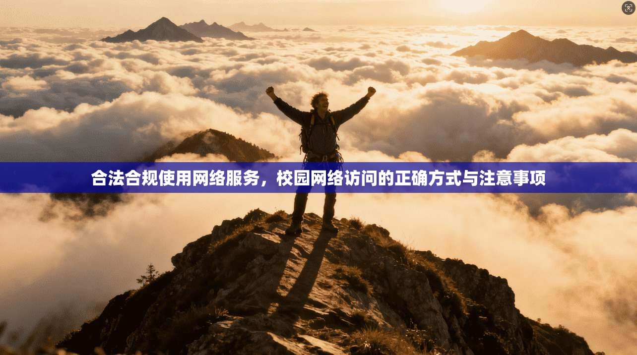 合法合规使用网络服务，校园网络访问的正确方式与注意事项
