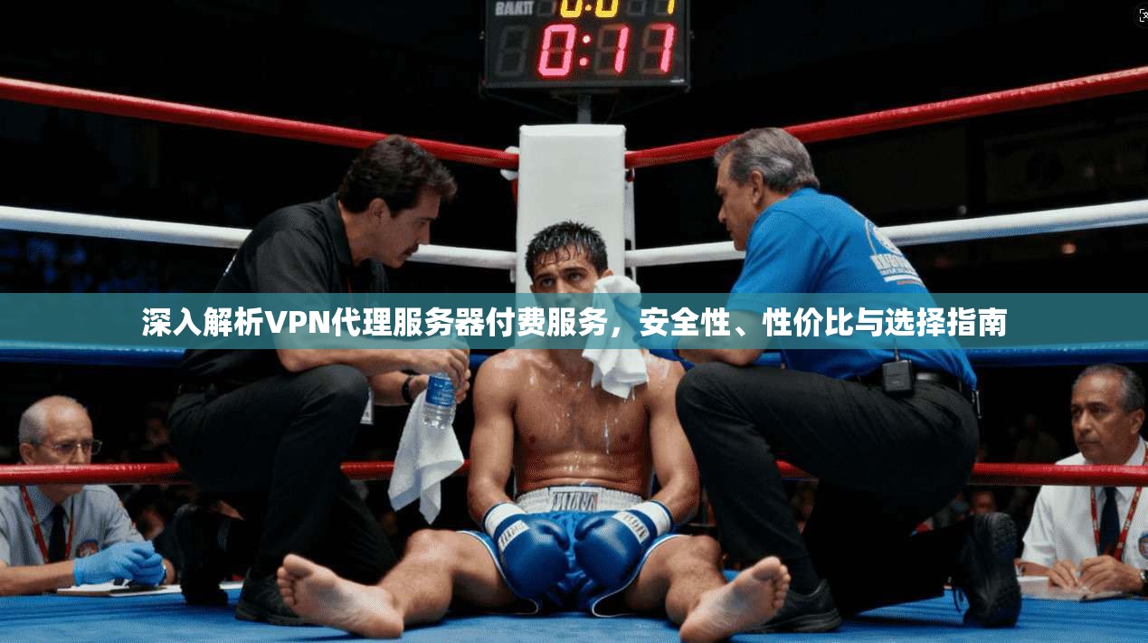 深入解析VPN代理服务器付费服务，安全性、性价比与选择指南