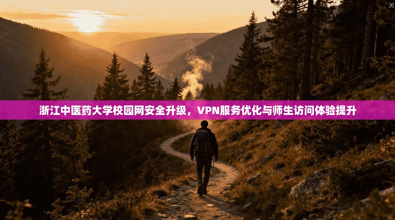 浙江中医药大学校园网安全升级，VPN服务优化与师生访问体验提升