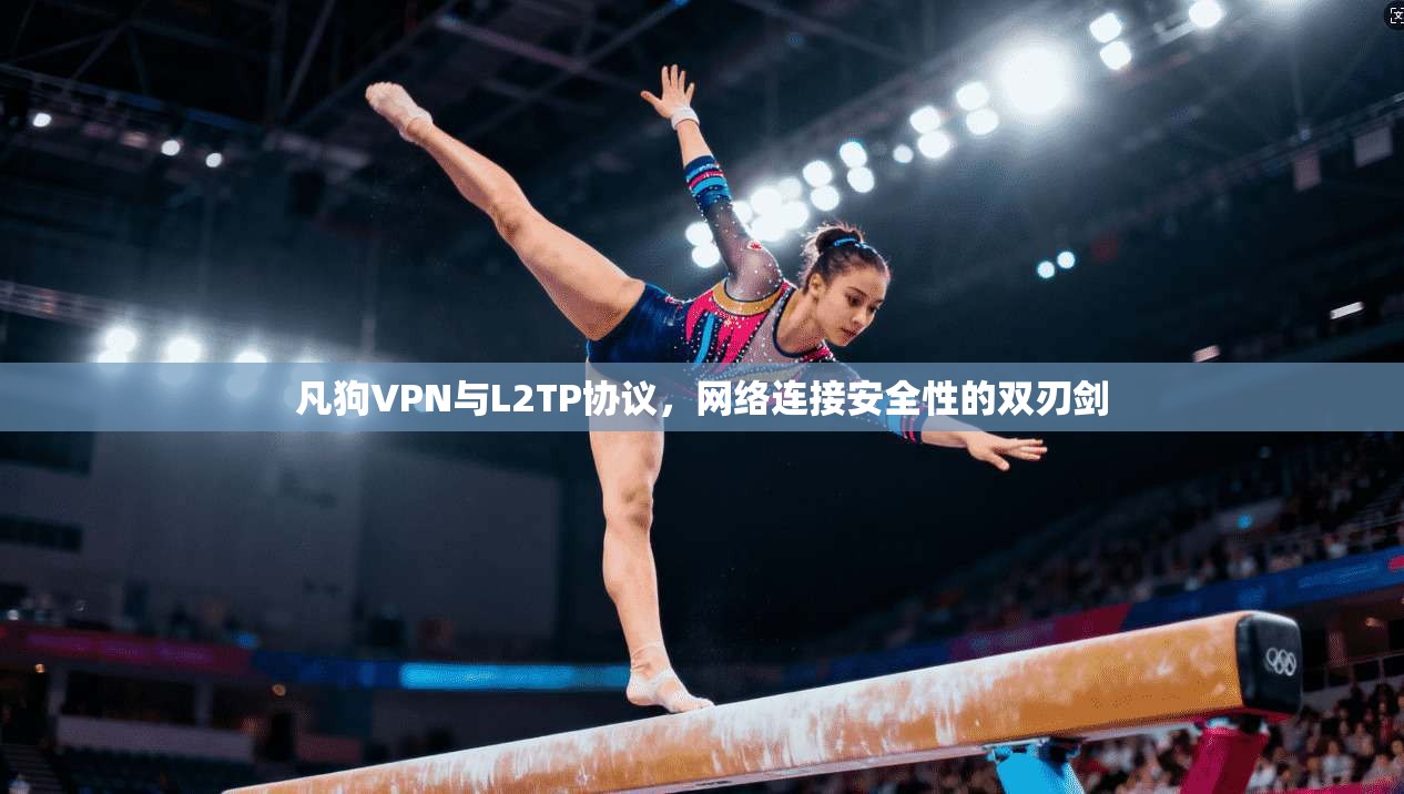 凡狗VPN与L2TP协议，网络连接安全性的双刃剑
