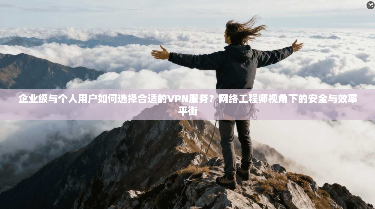 企业级与个人用户如何选择合适的VPN服务？网络工程师视角下的安全与效率平衡