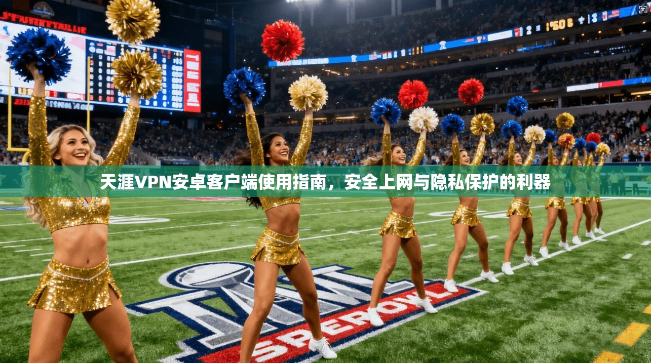 天涯VPN安卓客户端使用指南，安全上网与隐私保护的利器