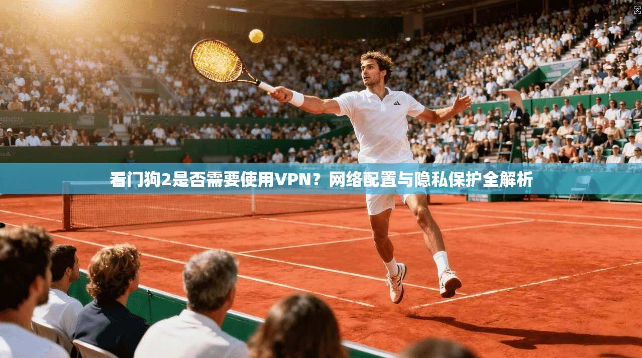 看门狗2是否需要使用VPN?网络配置与隐私保护全解析