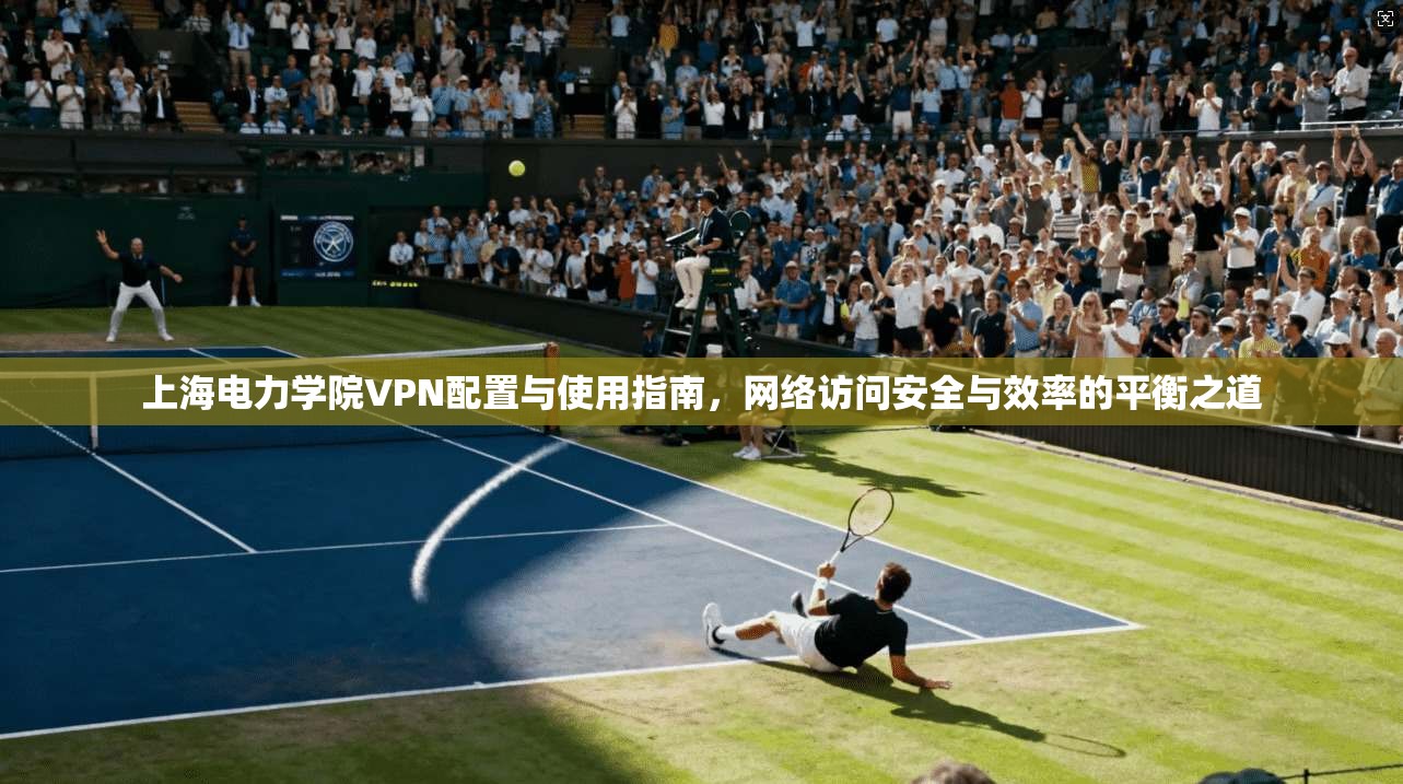 上海电力学院VPN配置与使用指南，网络访问安全与效率的平衡之道
