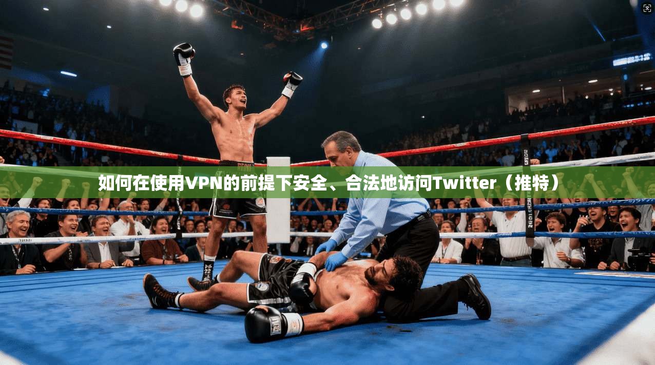 如何在使用VPN的前提下安全、合法地访问Twitter（推特）