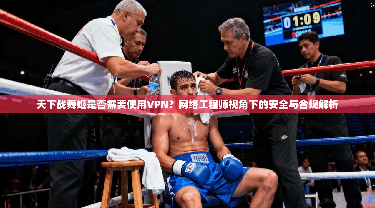 天下战舞姬是否需要使用VPN？网络工程师视角下的安全与合规解析