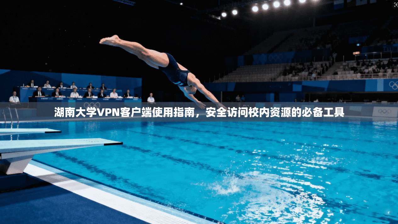 湖南大学VPN客户端使用指南，安全访问校内资源的必备工具