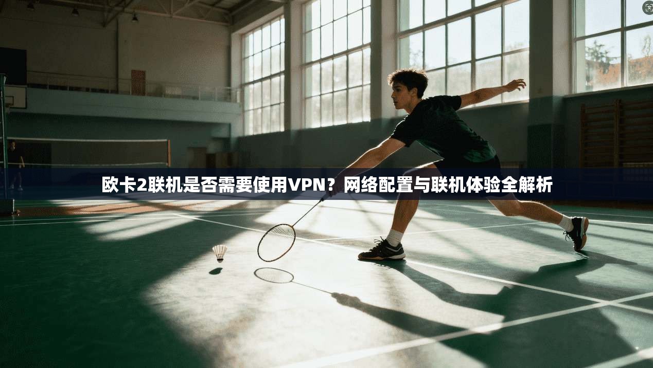 欧卡2联机是否需要使用VPN?网络配置与联机体验全解析