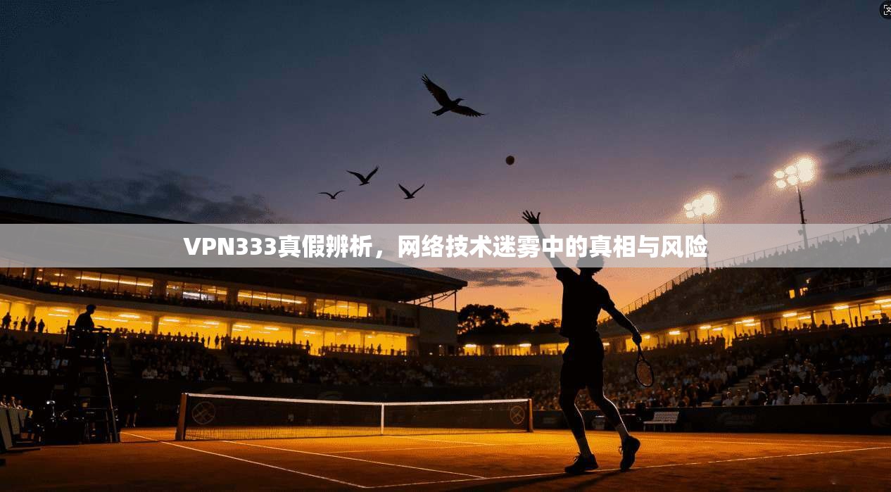 VPN333真假辨析,网络技术迷雾中的真相与风险