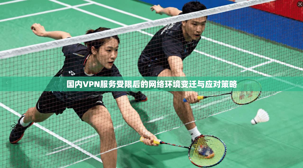 国内VPN服务受限后的网络环境变迁与应对策略