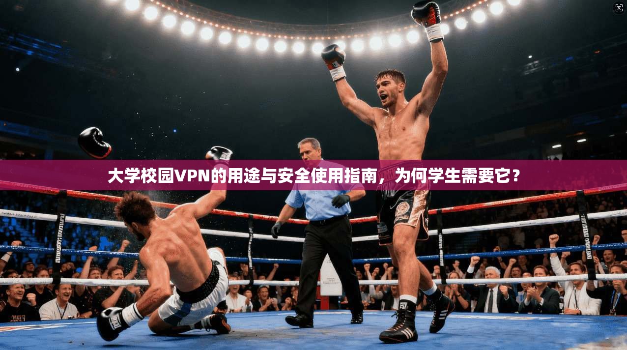 大学校园VPN的用途与安全使用指南,为何学生需要它?