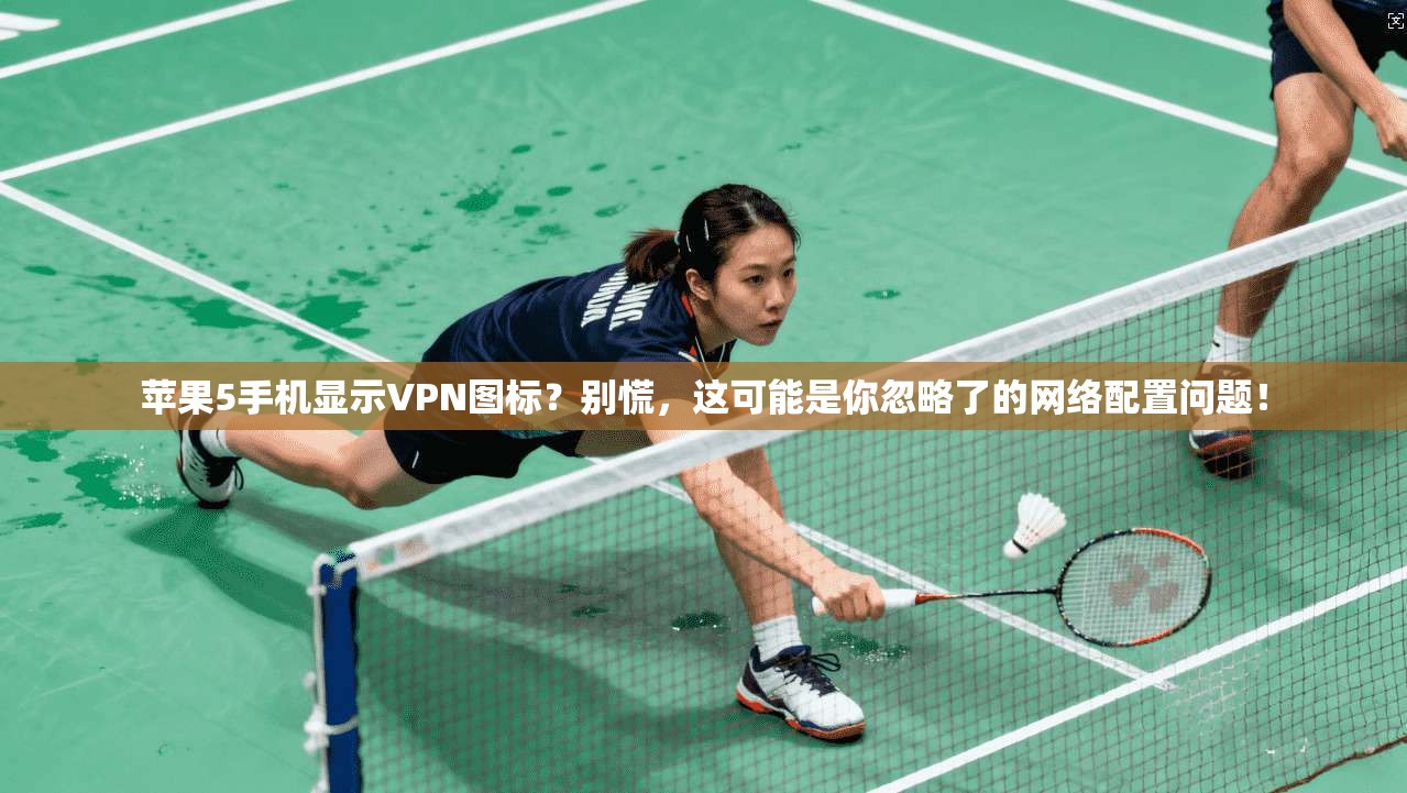 苹果5手机显示VPN图标?别慌,这可能是你忽略了的网络配置问题!