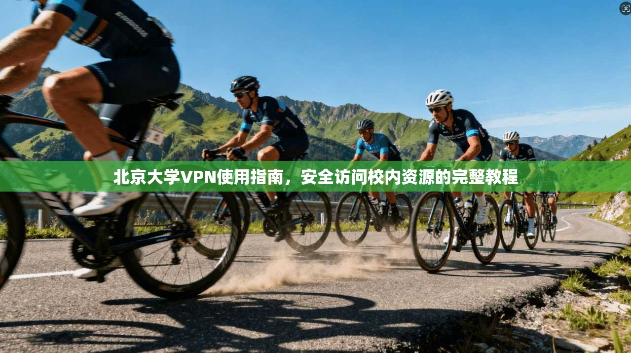 北京大学VPN使用指南，安全访问校内资源的完整教程