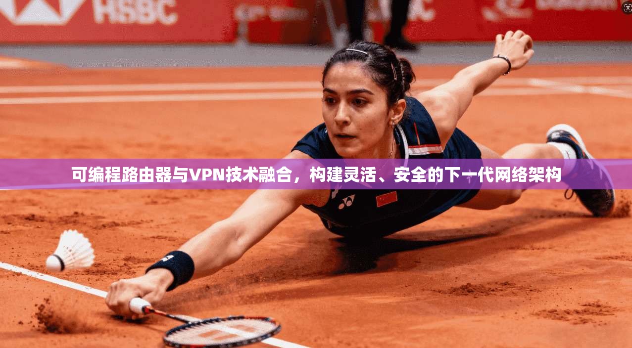 可编程路由器与VPN技术融合，构建灵活、安全的下一代网络架构
