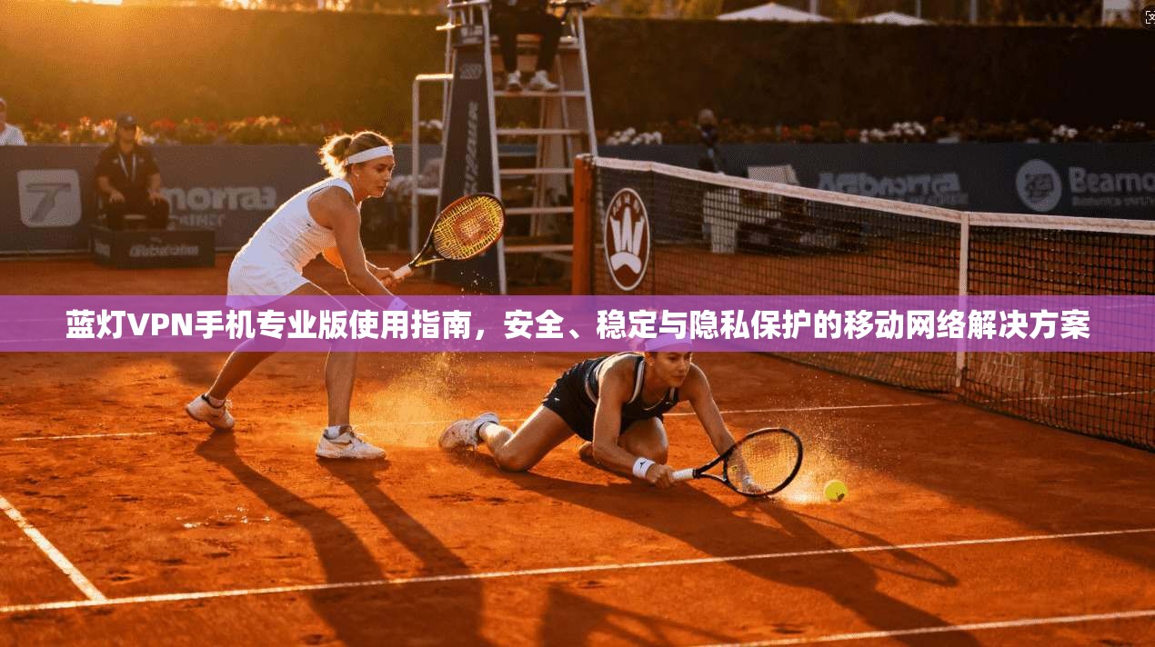 蓝灯VPN手机专业版使用指南，安全、稳定与隐私保护的移动网络解决方案