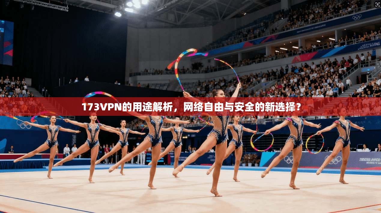 173VPN的用途解析，网络自由与安全的新选择？