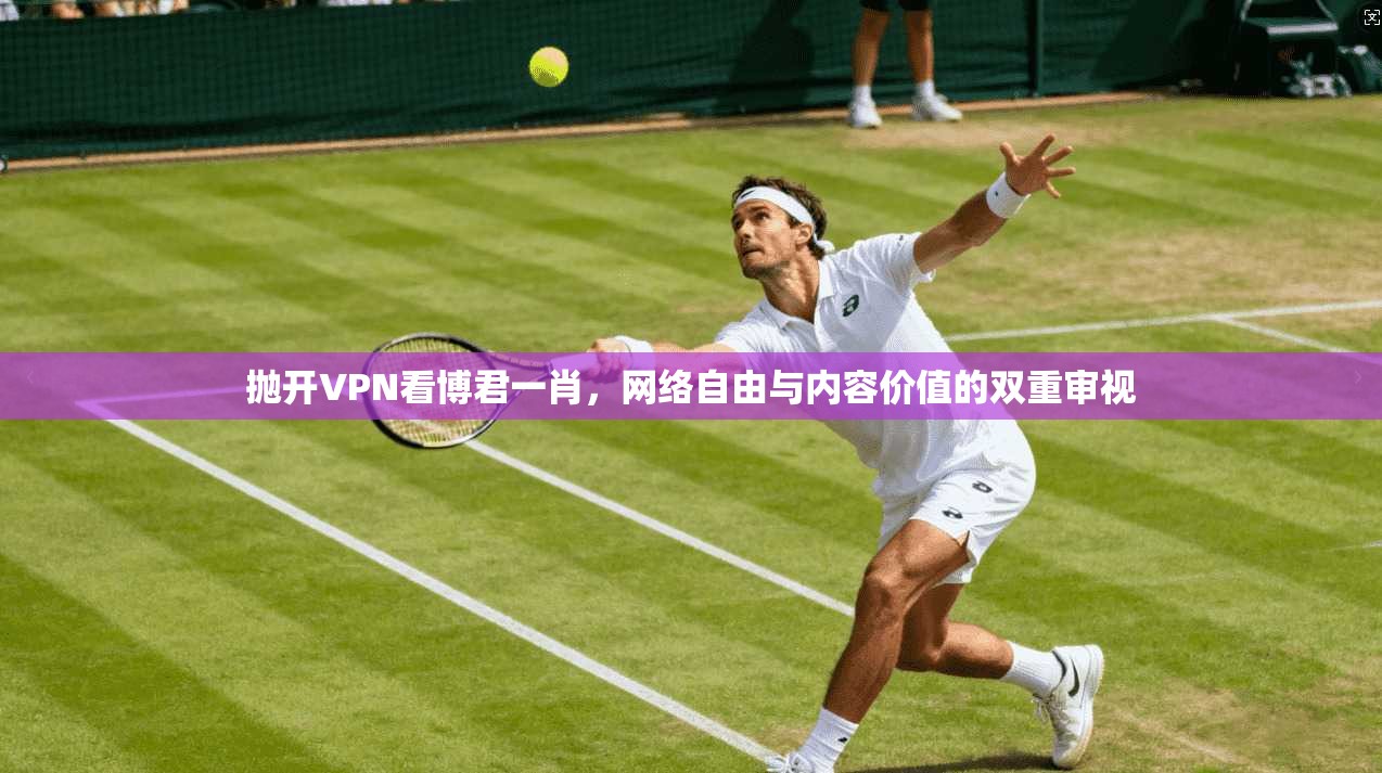 抛开VPN看博君一肖,网络自由与内容价值的双重审视