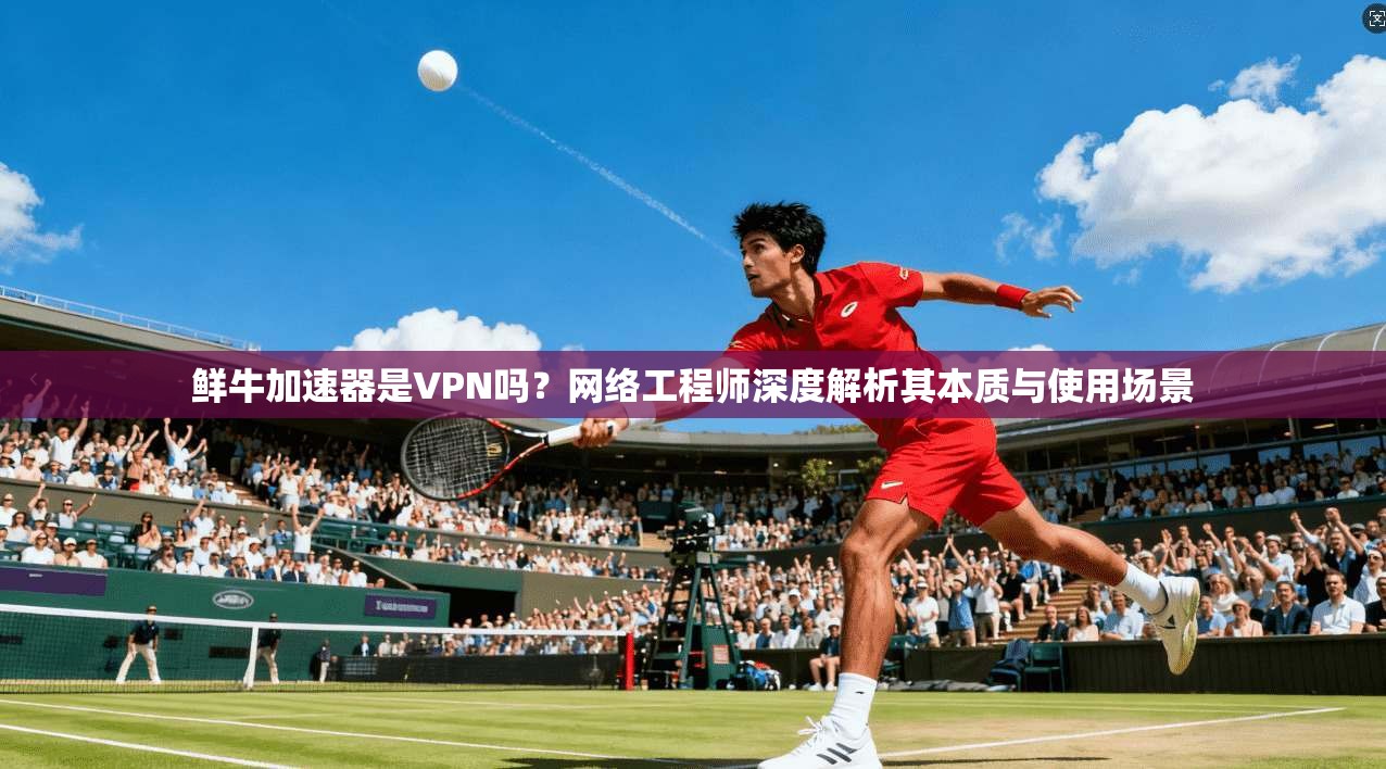 鲜牛加速器是VPN吗？网络工程师深度解析其本质与使用场景