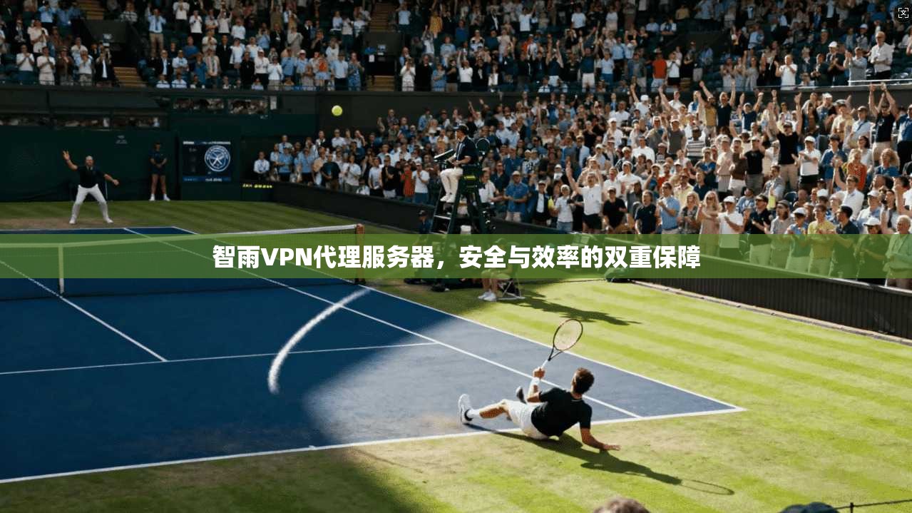 智雨VPN代理服务器，安全与效率的双重保障