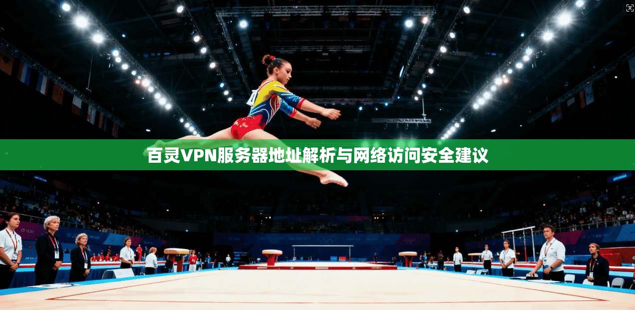 百灵VPN服务器地址解析与网络访问安全建议
