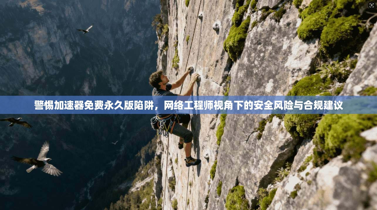 警惕加速器免费永久版陷阱,网络工程师视角下的安全风险与合规建议