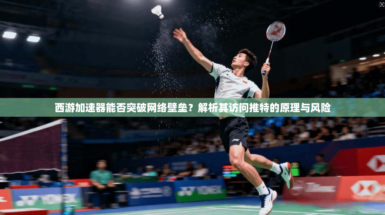 西游加速器能否突破网络壁垒？解析其访问推特的原理与风险