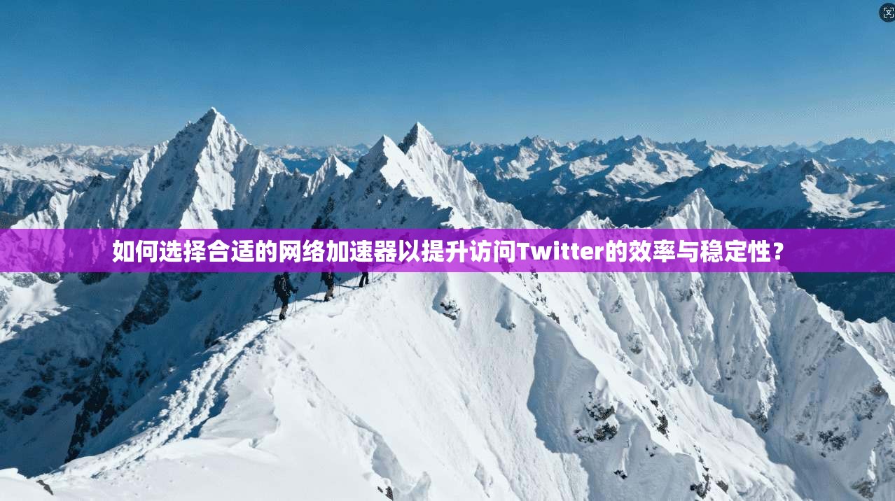 如何选择合适的网络加速器以提升访问Twitter的效率与稳定性？