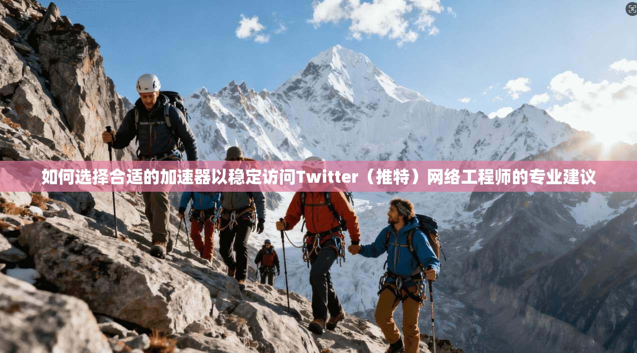如何选择合适的加速器以稳定访问Twitter(推特)网络工程师的专业建议