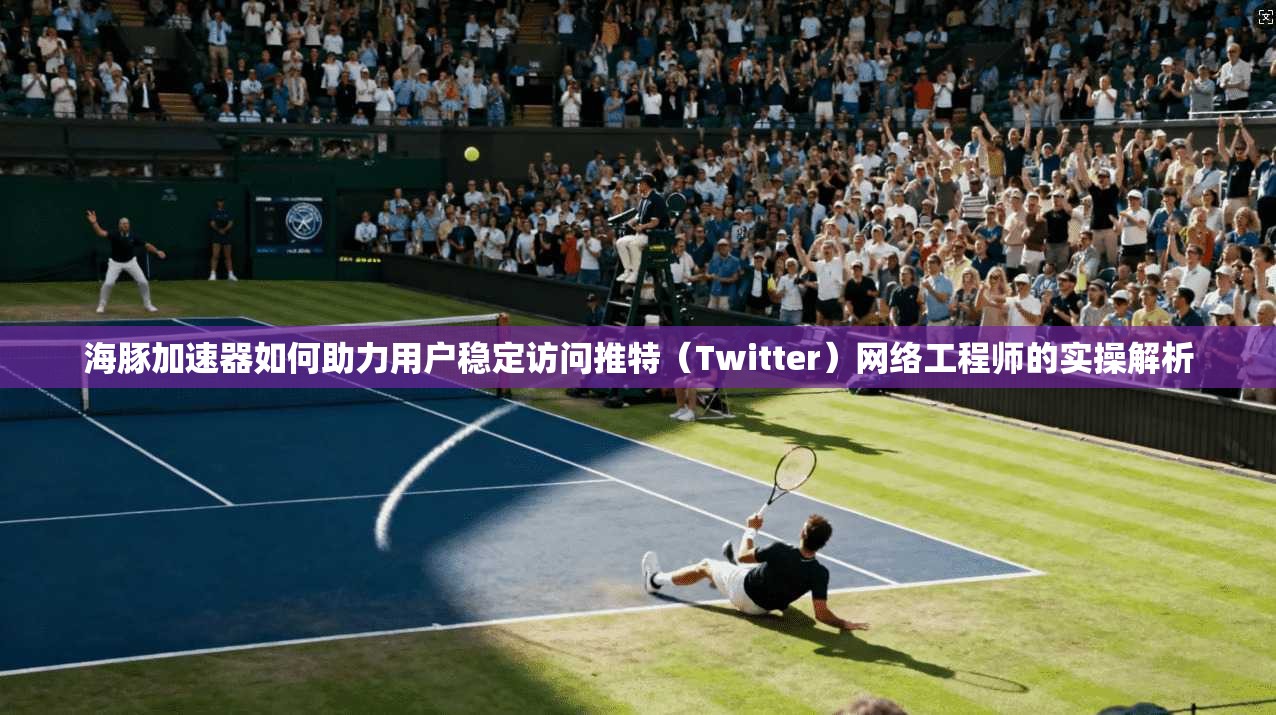 海豚加速器如何助力用户稳定访问推特（Twitter）网络工程师的实操解析