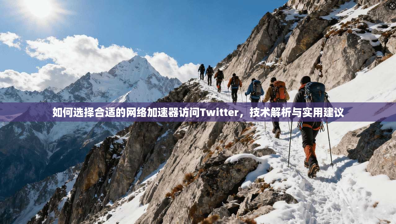 如何选择合适的网络加速器访问Twitter，技术解析与实用建议