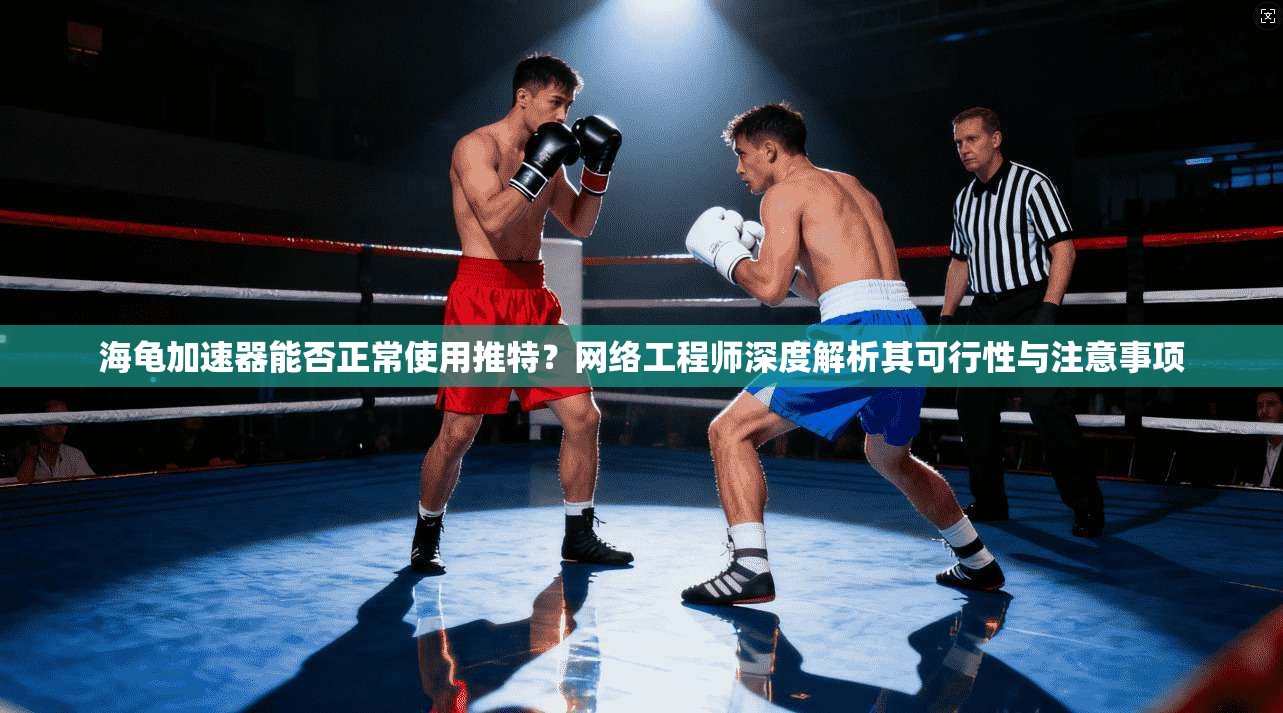 海龟加速器能否正常使用推特?网络工程师深度解析其可行性与注意事项