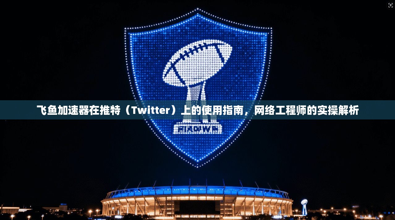 飞鱼加速器在推特（Twitter）上的使用指南，网络工程师的实操解析
