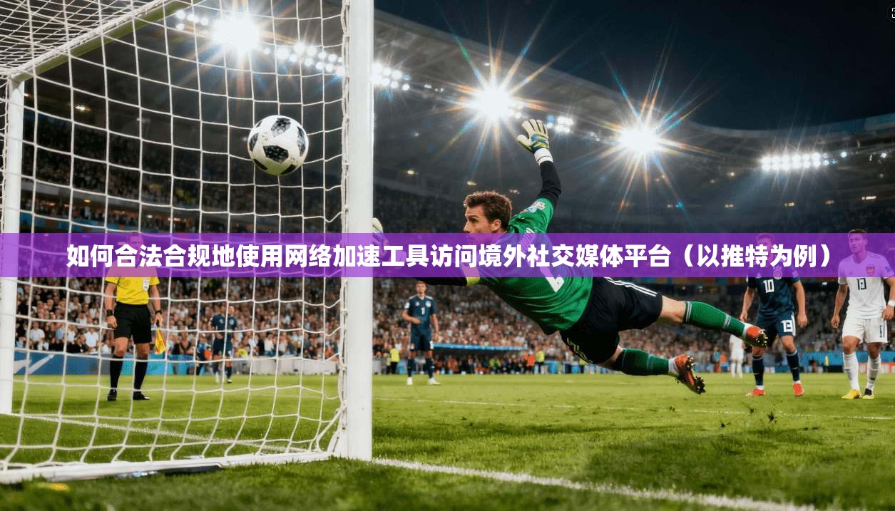如何合法合规地使用网络加速工具访问境外社交媒体平台（以推特为例）