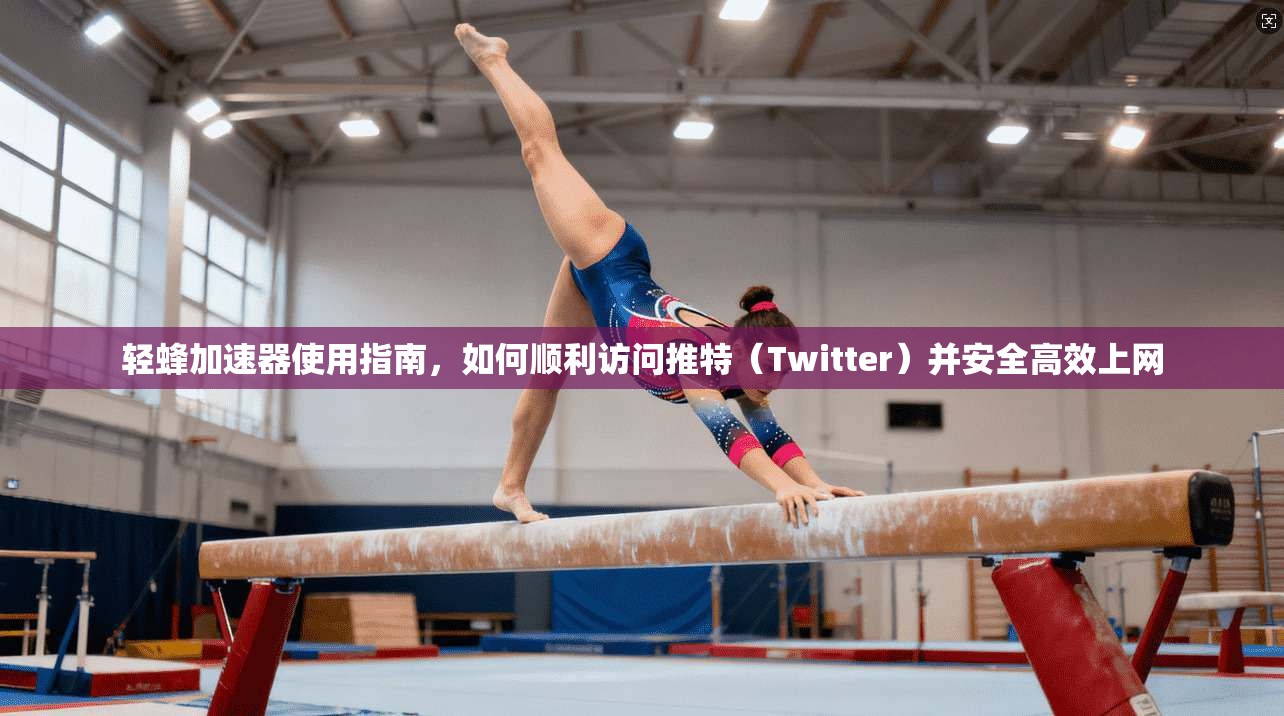 轻蜂加速器使用指南,如何顺利访问推特(Twitter)并安全高效上网