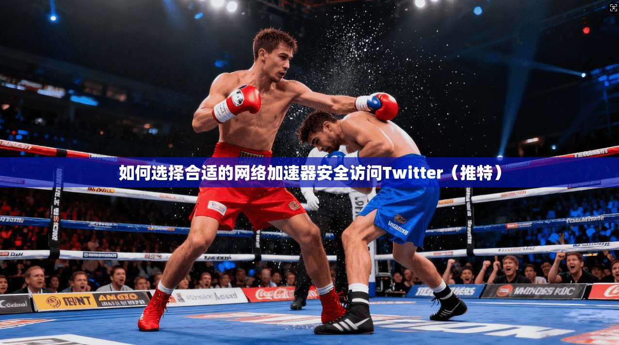 如何选择合适的网络加速器安全访问Twitter(推特)