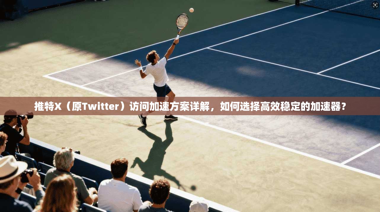推特X（原Twitter）访问加速方案详解，如何选择高效稳定的加速器？