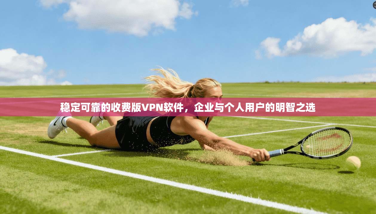 稳定可靠的收费版VPN软件，企业与个人用户的明智之选